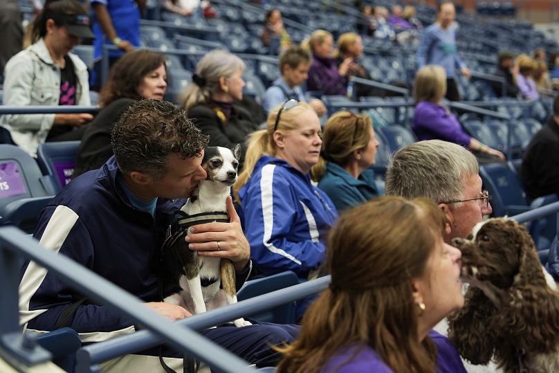 Un maître embrasse son chien tout en regardant une compétition d'agilité lors du 148e spectacle canin du Westminster Kennel Club, le samedi 11 mai 2024,
