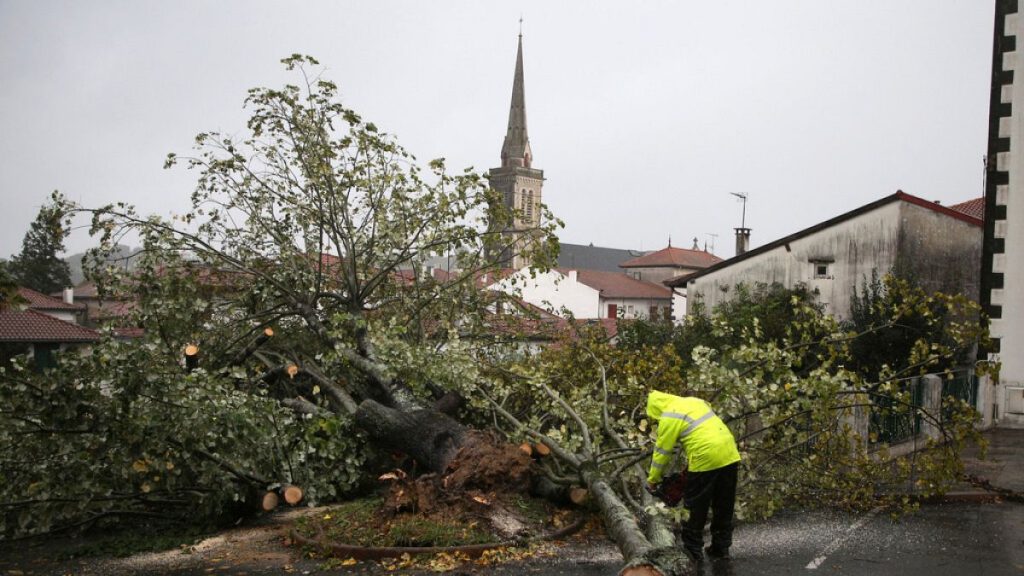 A man saws a tree that fell on a parking lot Thursday, Nov. 2, 2023 in Hasparren, southwestern France.