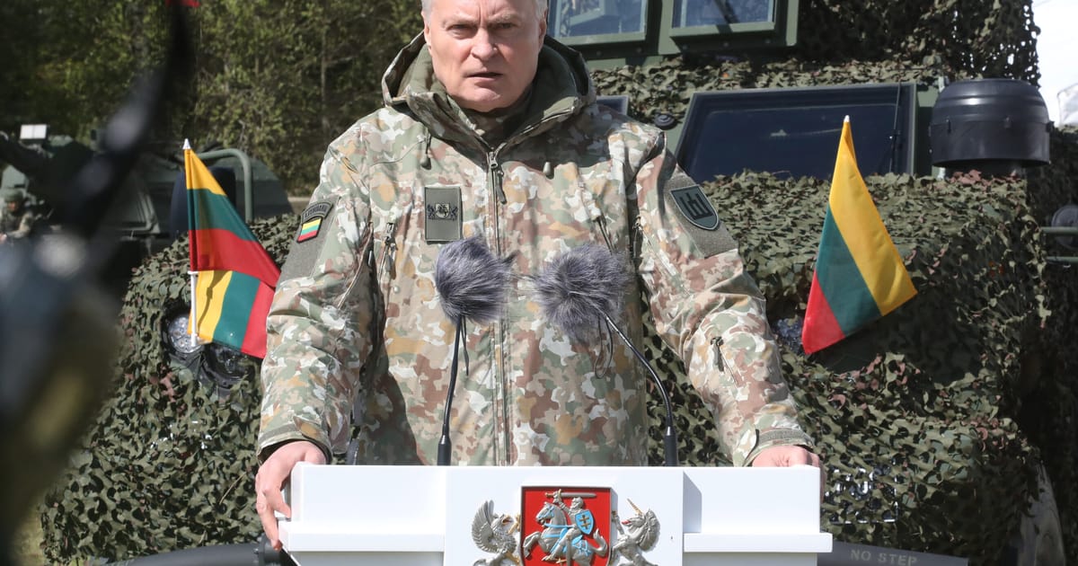 Élection en Lituanie : Gitanas Nausėda remporte le premier tour de l'élection présidentielle