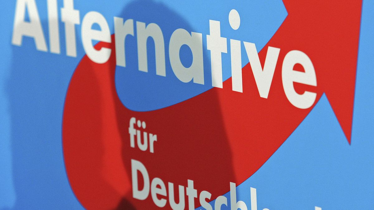 Alternative for Germany (AfD) party poster.