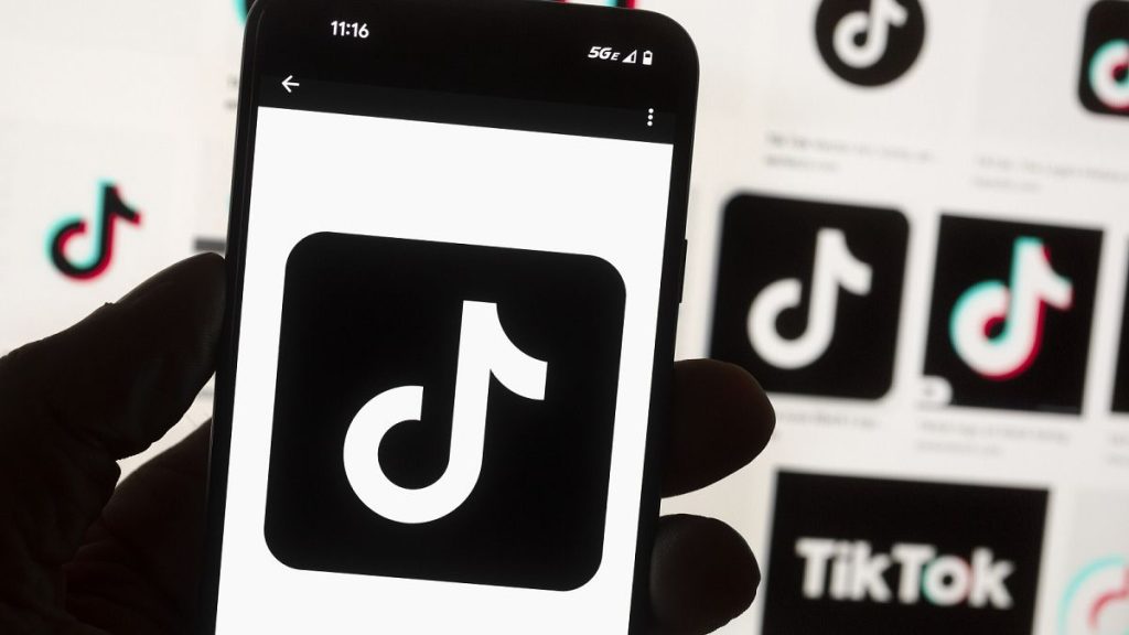 TikTok and its Chinese parent company ByteDance filed suit against the US federal government to challenge a law that would force the sale of ByteDance