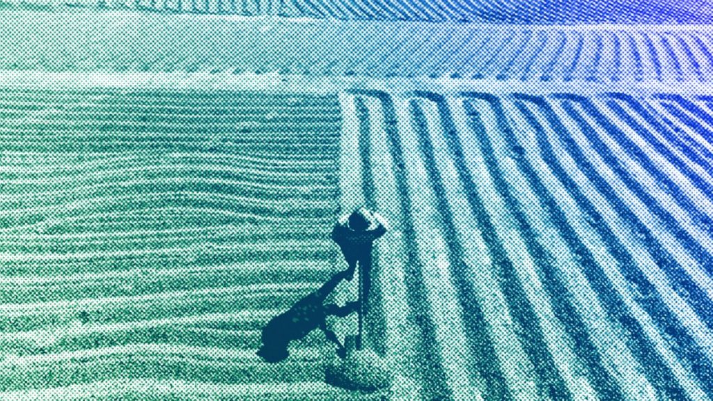 A worker turns coffee beans that are drying in the sun at the Santa Barbara farm in San Juan Alotenango, Guatemala, March 2022
