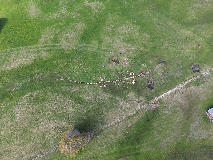 Ingela Ihrman, First Came the Ocean, 2024. Installation environnementale, 25 x 5 m. Avec l'aimable autorisation de l'artiste et Ögonblicksteatern i Umeå, Suède. Commandé par la Biennale Gherdëina 9