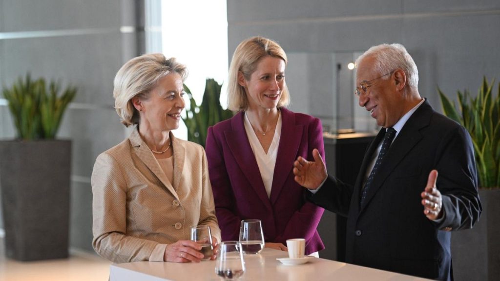 The nominees for the EU