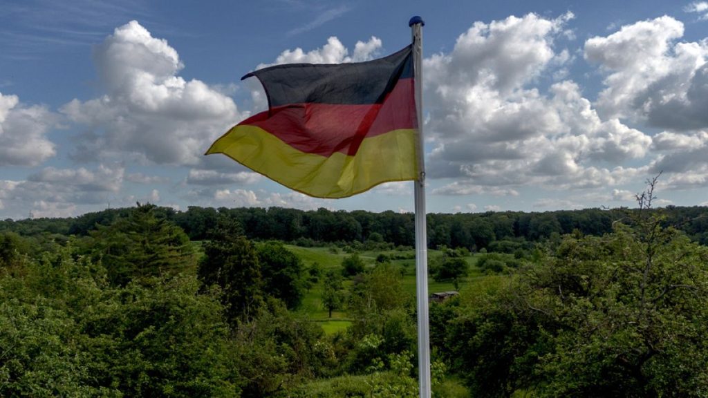 A German national flag waves on a field in the outskirts of Frankfurt, Germany, Wednesday, May 22, 2024. (AP Photo/Michael Probst)