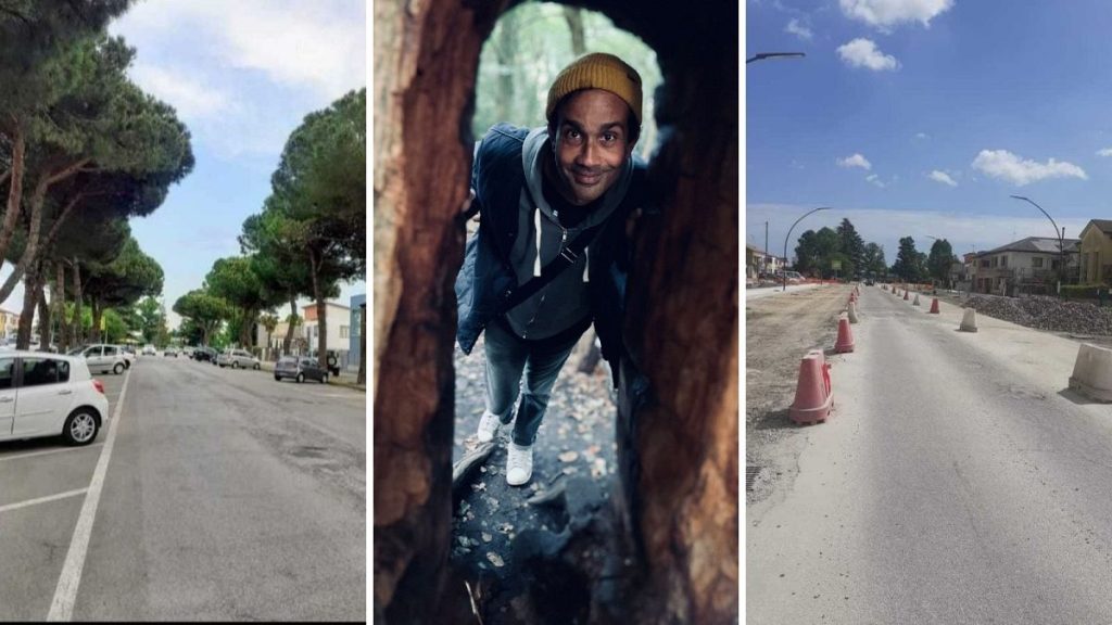 Here are three first-person accounts from people in Europe about how they have felt when trees have been cut down where they live.