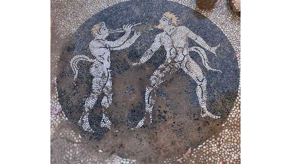 On the Greek island of Evia, archaeologists have uncovered a mosaic floor which was stumbled upon during works to install water pipelines.