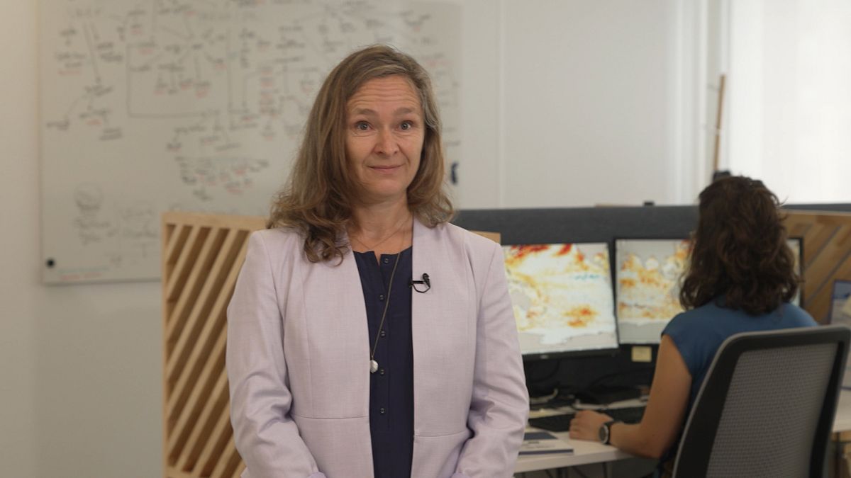 Why are marine heatwaves on the rise?