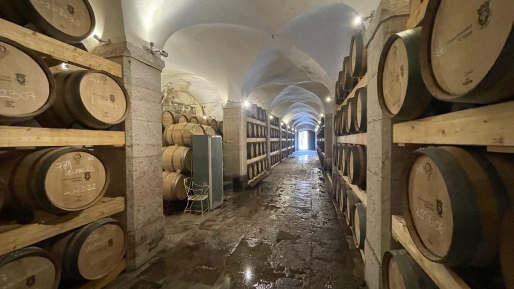 Recommencer l’histoire : comment la résurrection de Carcavelos sauve une culture perdue