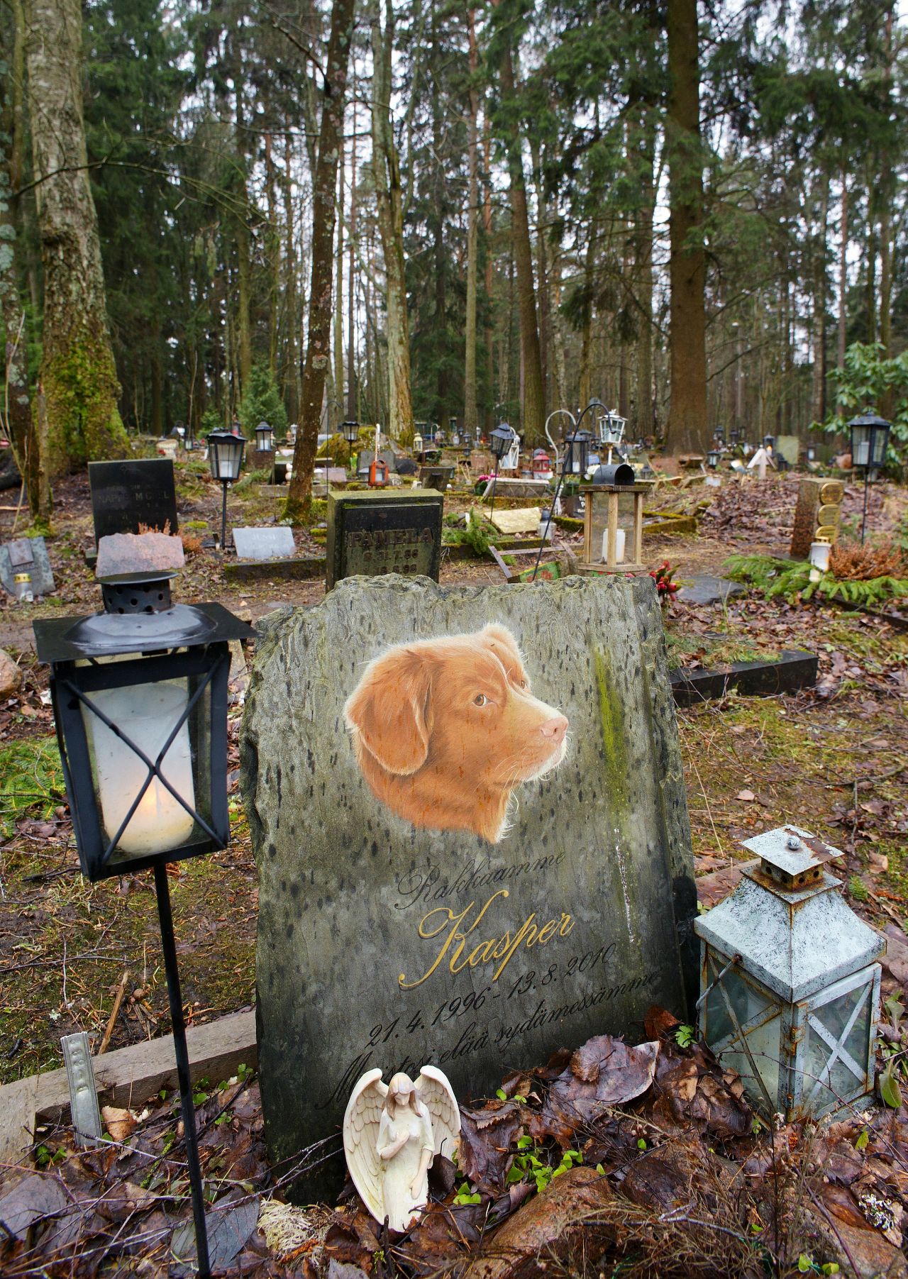 Le cimetière d'animaux de compagnie d'Helsinki présente des portraits d'animaux de compagnie peints à la main.