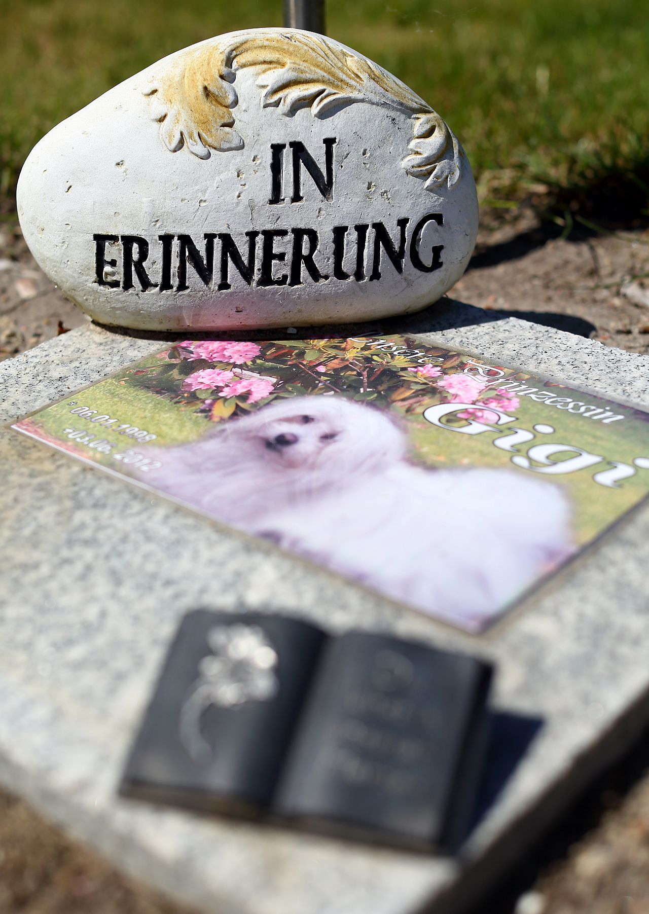 Un hommage à Gigi dans un cimetière d’animaux de Berlin, en Allemagne.