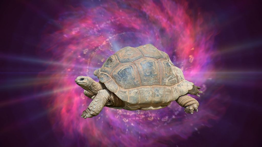 Probably how the tortoise was seen by the ancient people