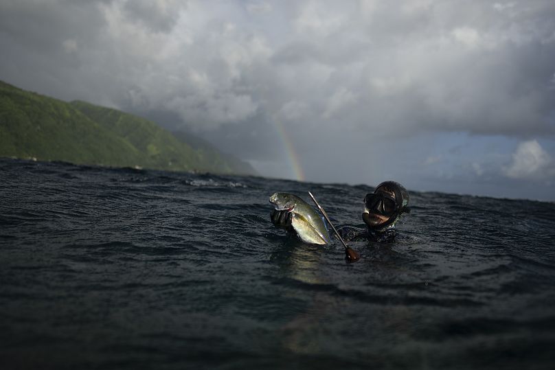 Naiki Vaast pêche sous-marine le long de la barrière de corail à Vairao, Tahiti, Polynésie française.
