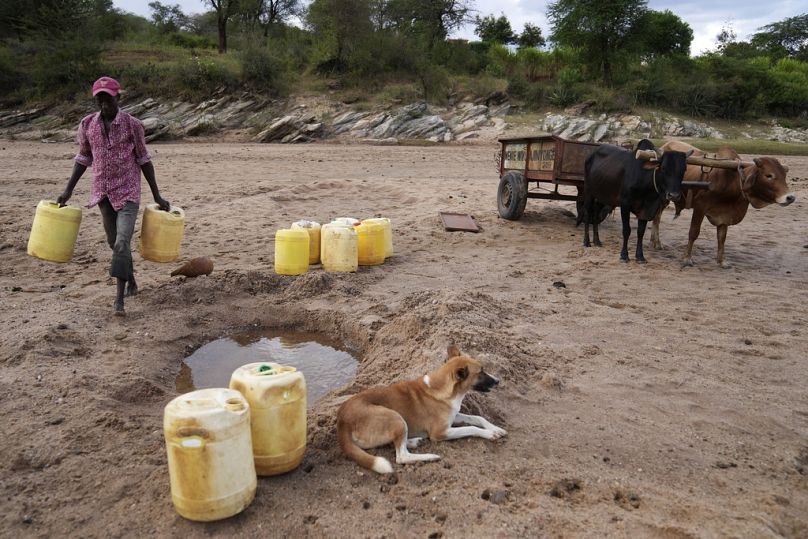 Un homme transporte des cruches pour aller chercher de l'eau dans un trou dans le lit sablonneux d'une rivière du comté de Makueni, au Kenya.