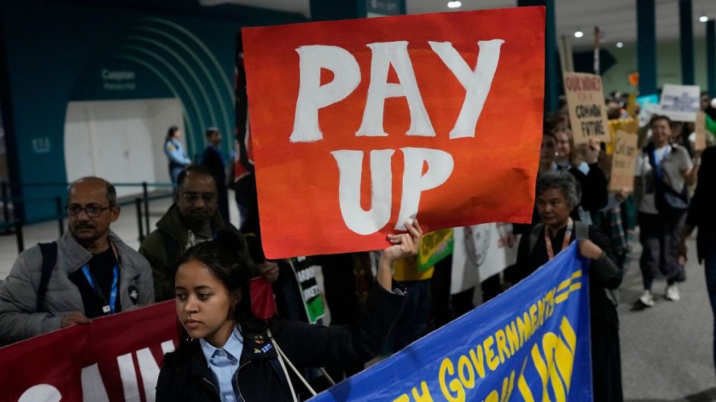 Activists participate in a demonstration for climate finance at COP29.