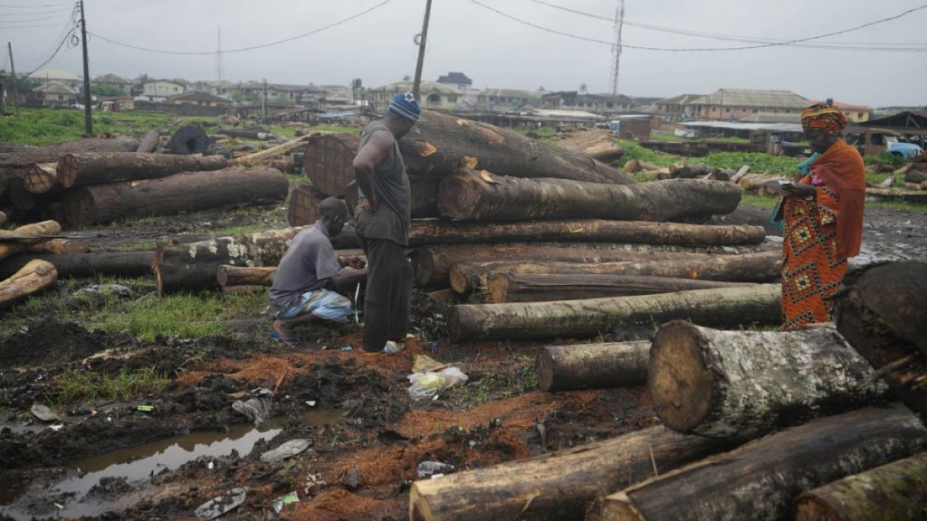 People look over timber, some of which came from the Omo Forest Reserve, to be sold at a market in Ijebu-Ode, Nigeria, on Tuesday, Aug. 1, 2023