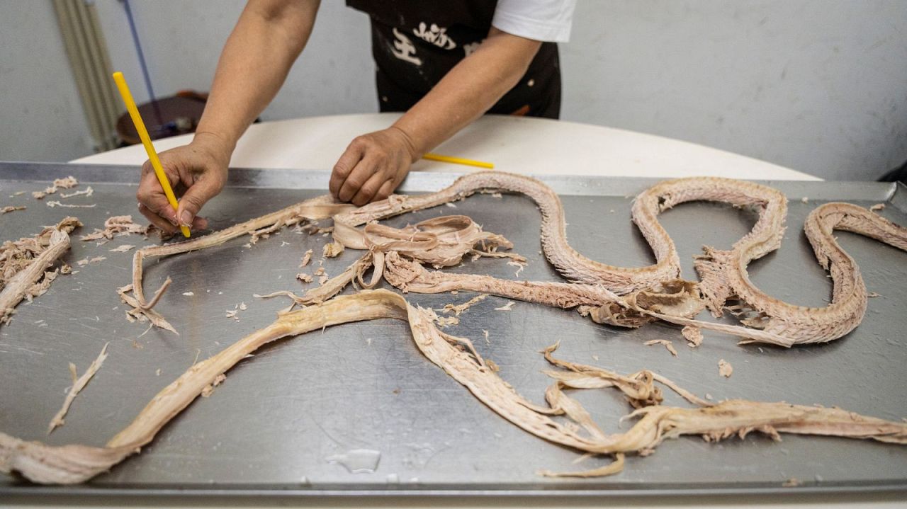 Chau Ka -ling, propriétaire du restaurant Snake Soup géré par la famille, swins un serpent dans sa boutique à Hong Kong