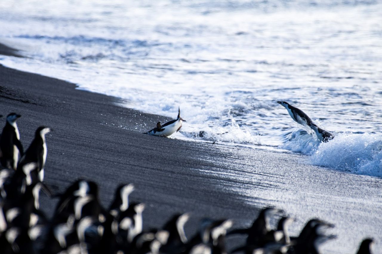 Crash Landing par Werner de Kock
