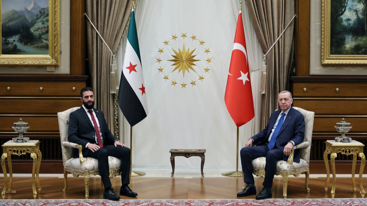 Turkish President Recep Tayyip Erdogan sits next to Syria