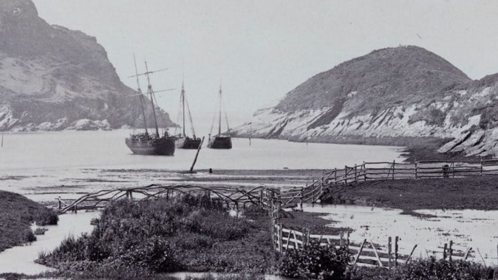 Watermouth Bay, Devon. Looking towards the sea in the distance, with sailing boats moored opposite the harbour arm. Unknown photographer, 1860 to 1900.