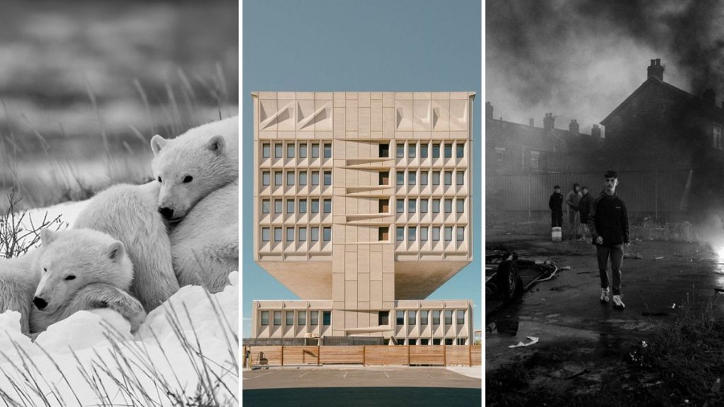 Des ours polaires aux rebelles de la planche à roulettes: les finalistes des Finalistes des prix de la photographie Sony 2025 dévoilés