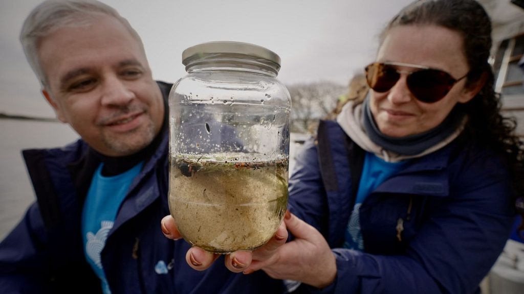 Robots and bubble barriers: How Venice and Portugal are tackling ocean plastic