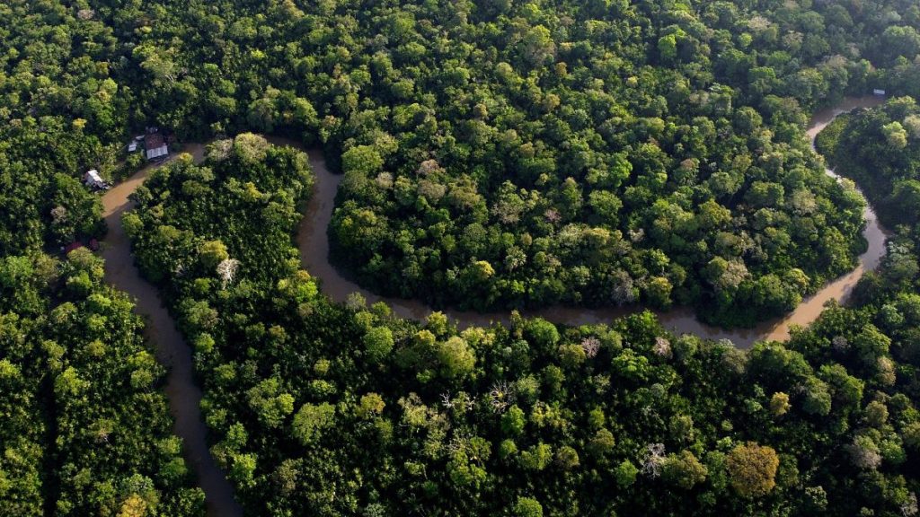 Forest lines the Combu creek, on Combu Island on the banks of the Guama River, near the city of Belem, Para state, Brazil.