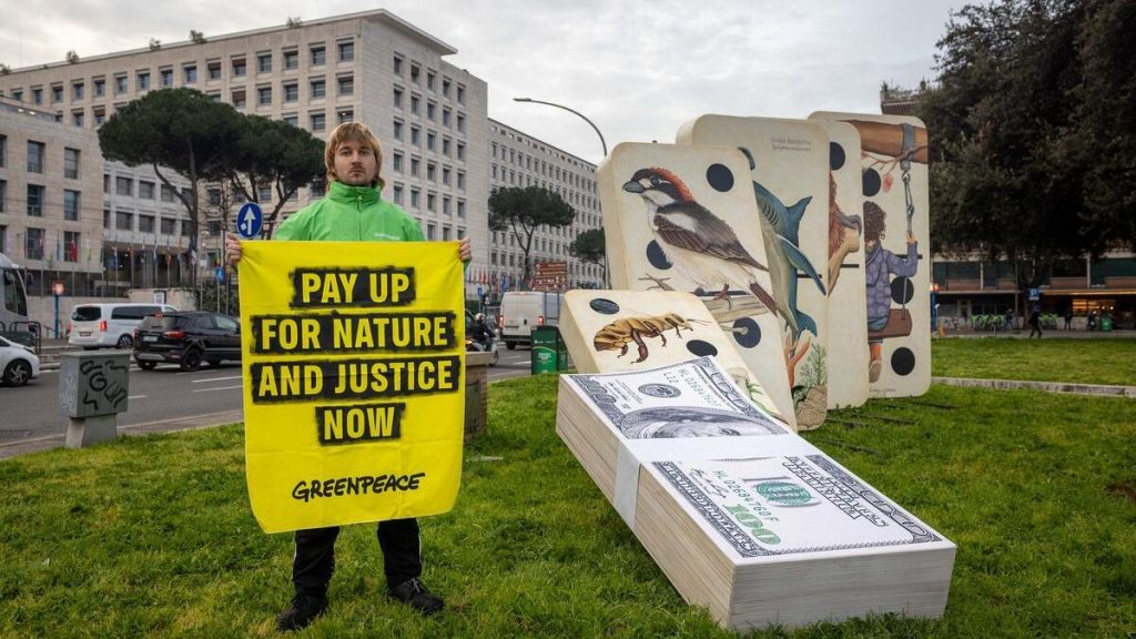 COP16 talks have ended with a win for nature.