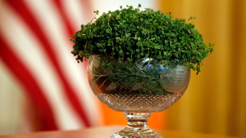 The bowl of shamrocks that was presented to President Donald Trump during the annual presentation in the East Room of the White House in Washington. 14 March 2019.