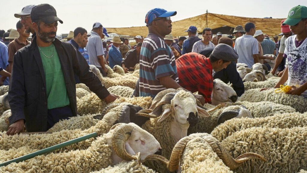 FILE: Merchants wait for buyers in Lagfaf market before celebrating the Muslim feast of Eid al-Adha at Lagfaf market near Khouribga central Morocco, Wednesday, Sept. 7, 2016