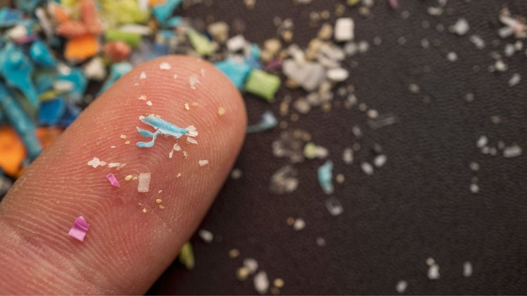 Tiny plastic particles are displayed on the tip of a finger.