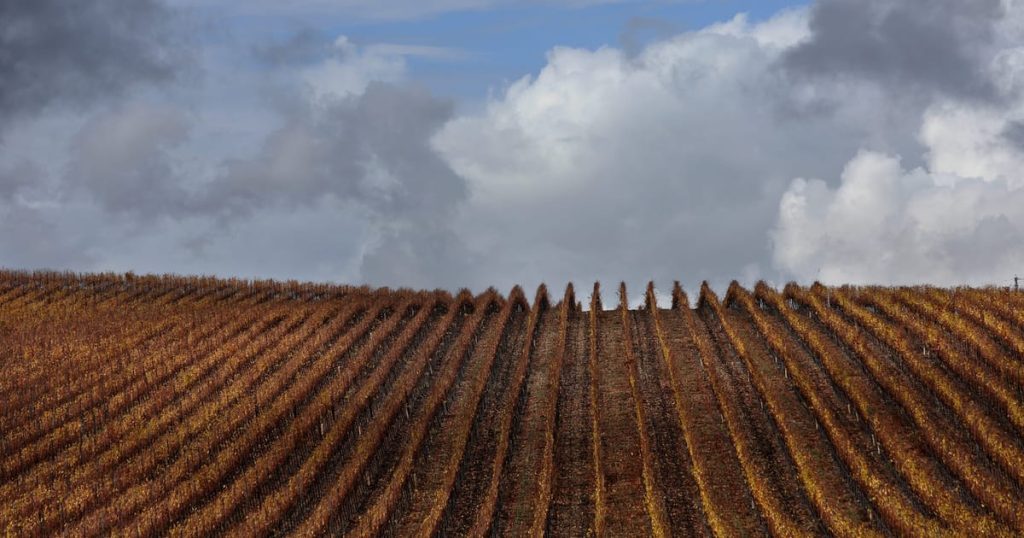 Trump veut que l'Europe achète plus de biens de ferme américains. Ça ne peut pas.