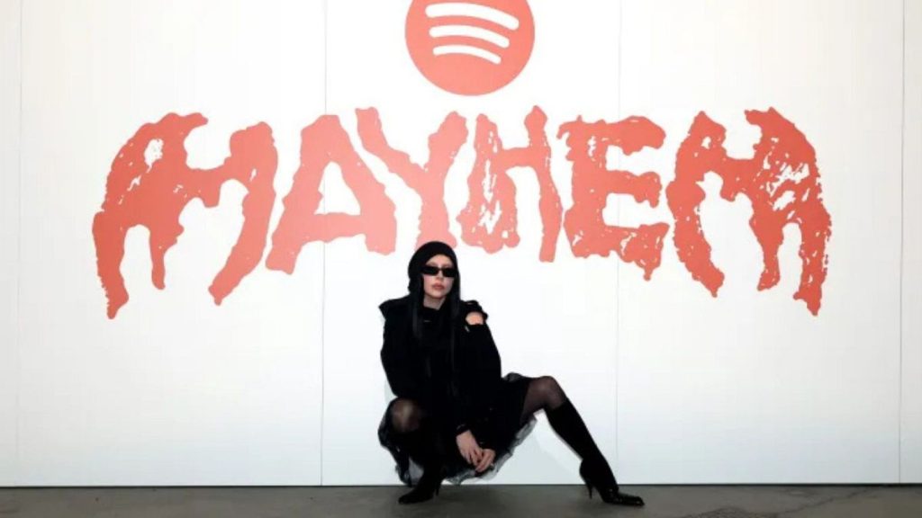 Why is Lady Gaga being sued for $100m by a surf company?