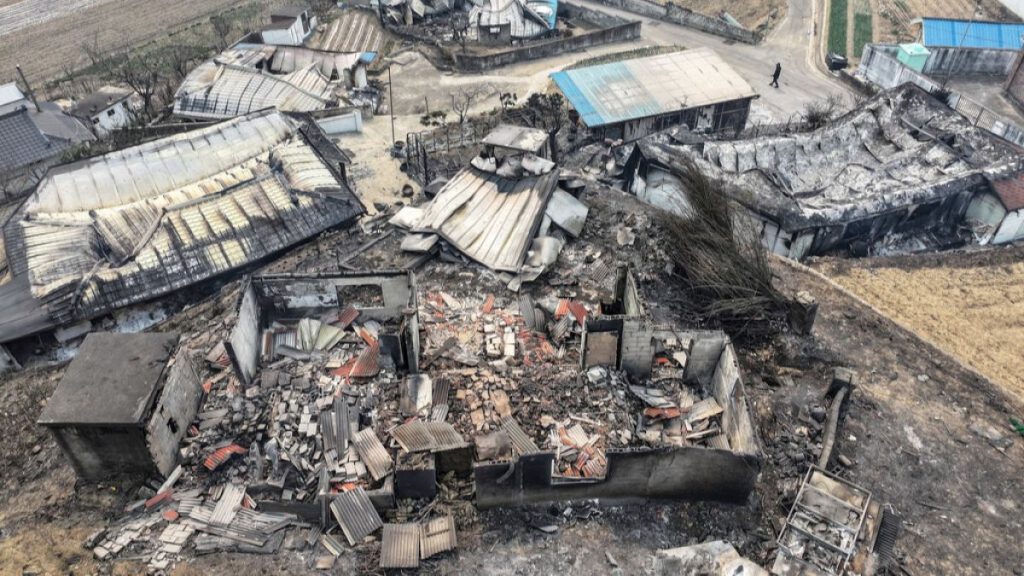 A person walks past houses destroyed by wildfires at a village in Yeongyang, South Korea, Wednesday, March 26, 2025.