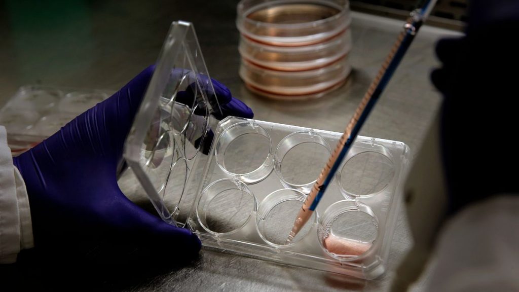 Cell cultures prepared for analysis. The European Commission acknowledges that life sciences are crucial to the EU economy.