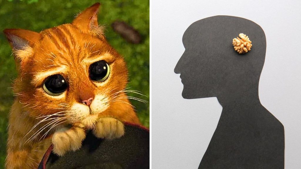 Gigil or a ludraman: How well do you know these new words added to the dictionary?