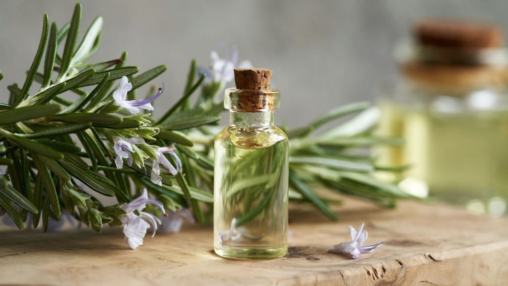 Common herbs like rosemary may have inspired a breakthrough Alzheimer’s treatment