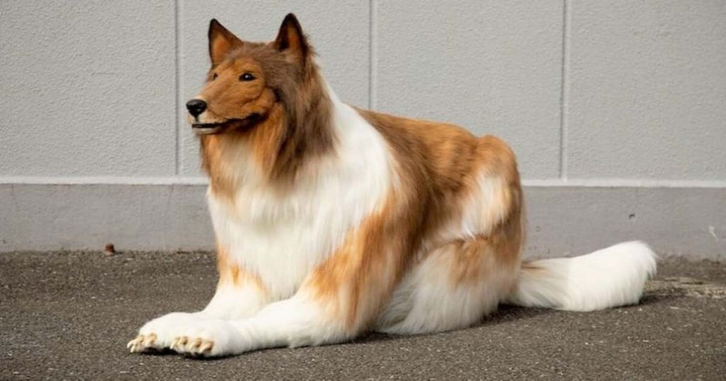 Un homme se transforme en chien