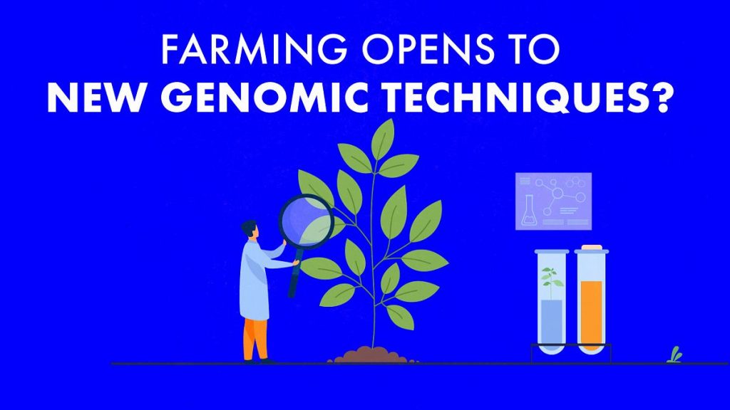 Will European agriculture convert to new genomic techniques?