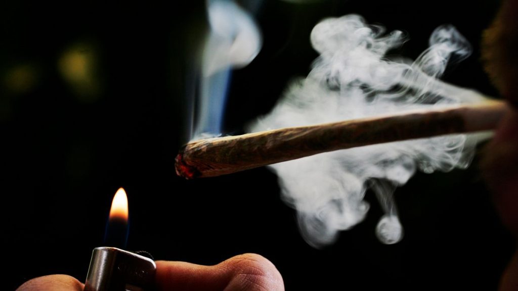 A regular user of soft drugs lights a marijuana joint in a coffee shop in Amsterdam, 24 June, 2008