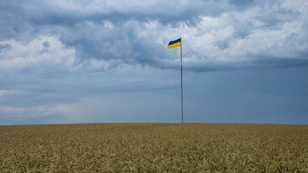 The Ukrainian flag flys on a pole in the middle of a land of wheat, in Kyiv, Ukraine.