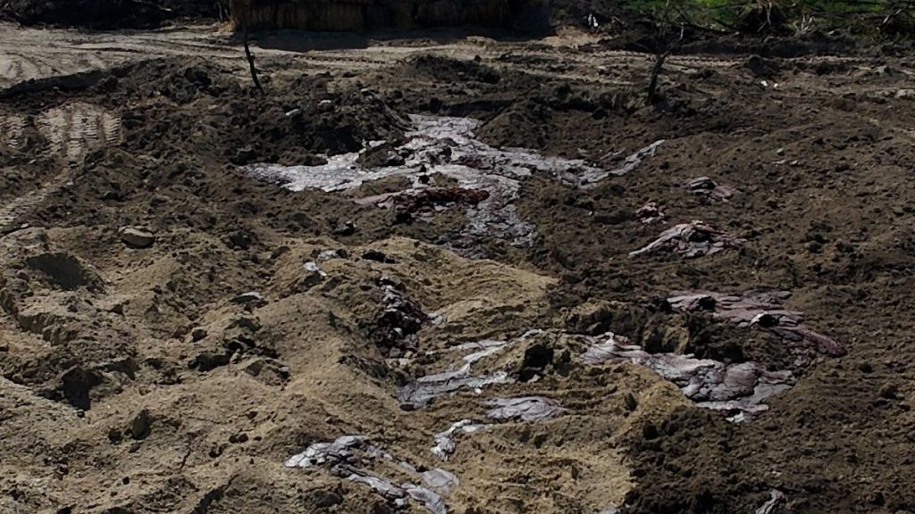 Drone footage of the carrion incubator near the Csemeztanya