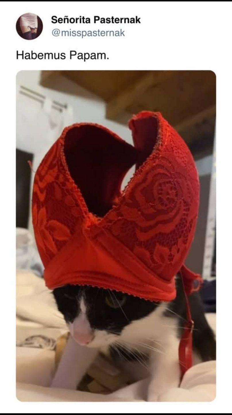 Nous faisons ... nous faisons vraiment