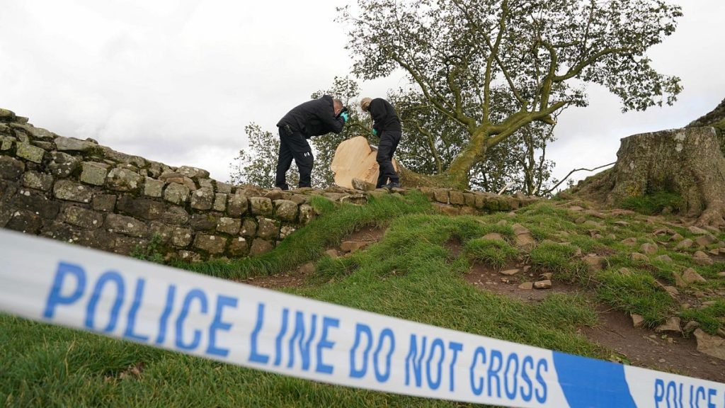 Deux hommes reconnus coupables de dommages criminels au Royaume-Uni pour avoir abatta