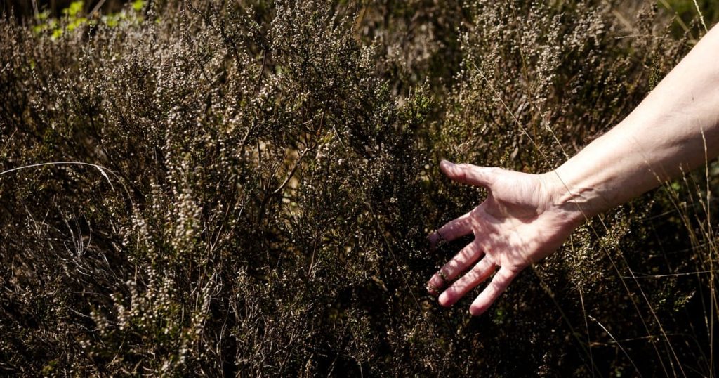 Les scientifiques de l'UE ont une alarme pour l'escalade de la sécheresse de printemps