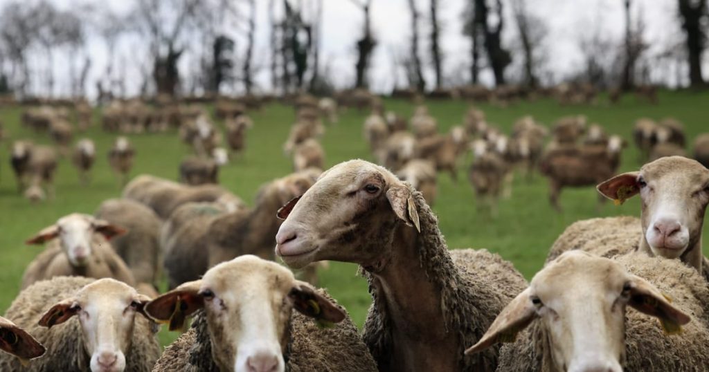 Bruxelles prépare l'accord côté pour faire fondre la résistance de Macron au Mercosur