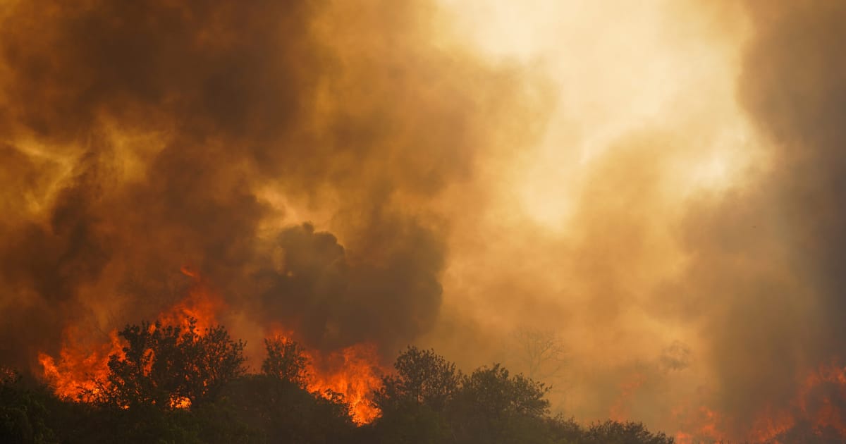 Politique confuse fans les flammes des incendies de forêt d'Europe du Sud