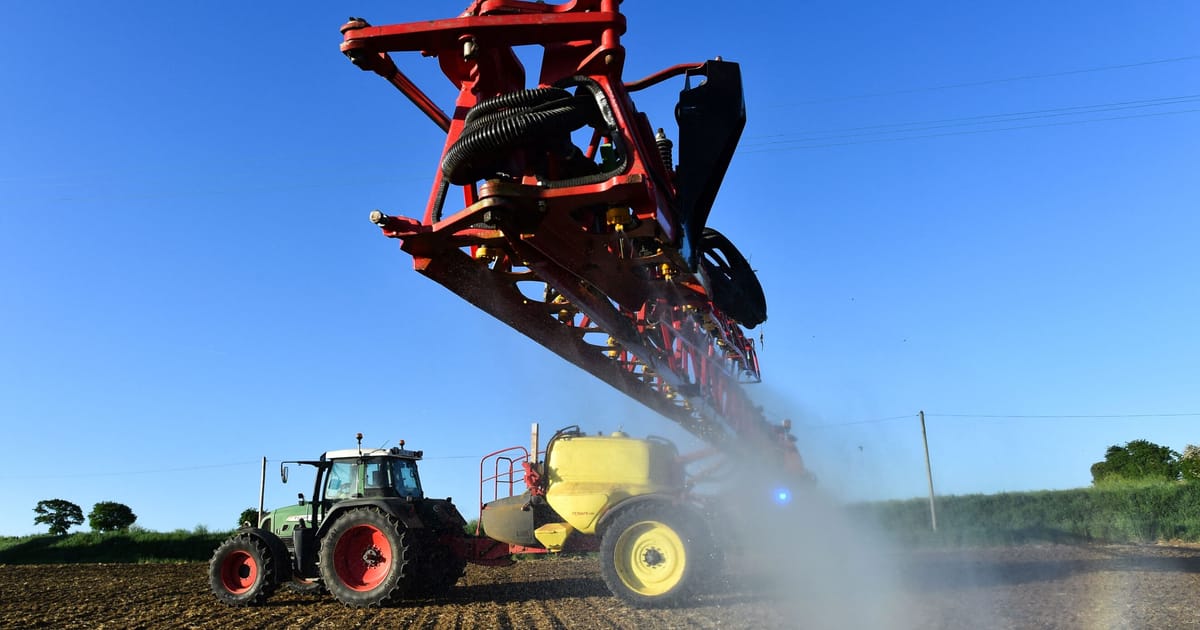 Comment un insecticide est revenu pour affronter Emmanuel Macron