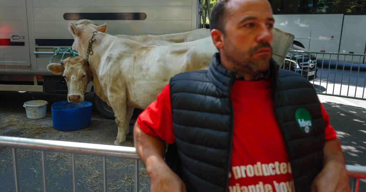 Bruxelles prêts à présenter les offres commerciales du Mercosur et du Mexique la semaine prochaine