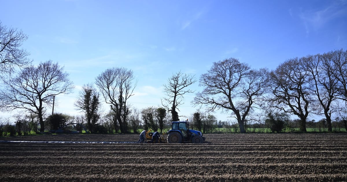 Bruxelles se dirige vers une lutte d'automne pour limiter les subventions aux grandes fermes